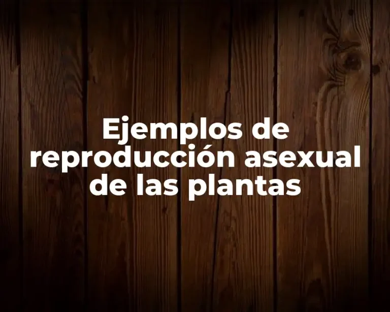 Ejemplos de reproducción asexual de las plantas