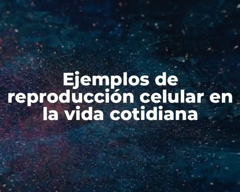 Ejemplos de reproducción celular en la vida cotidiana