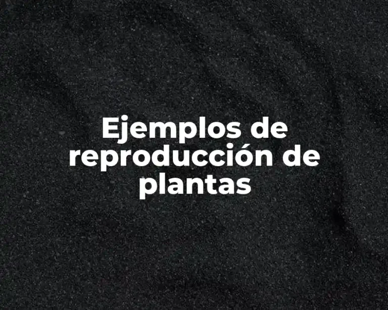 Ejemplos de reproducción de plantas