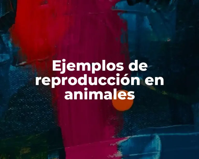 Ejemplos de reproducción en animales