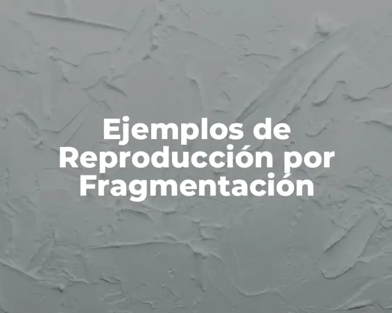 Ejemplos de Reproducción por Fragmentación
