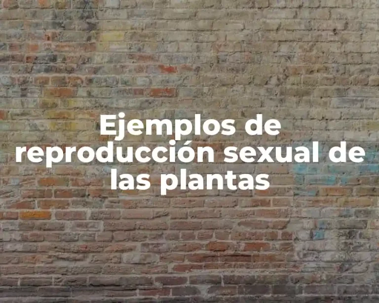 Ejemplos de reproducción sexual de las plantas
