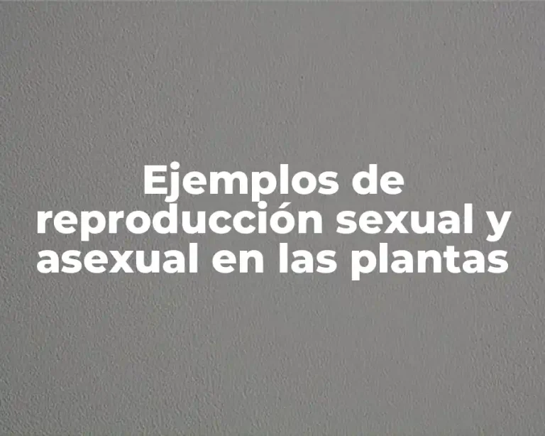 Ejemplos de reproducción sexual y asexual en las plantas