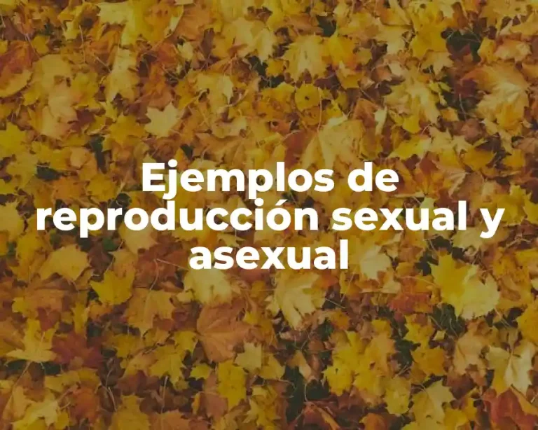 Ejemplos de reproducción sexual y asexual