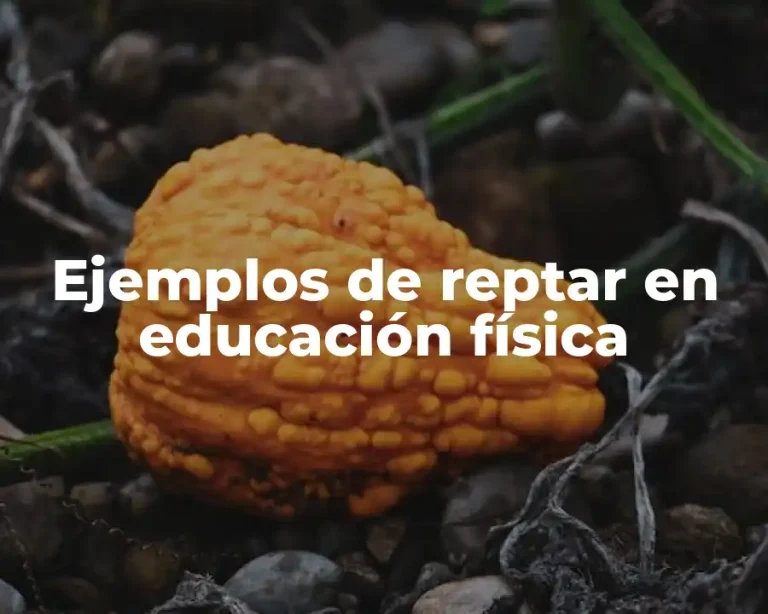 Ejemplos de reptar en educación física