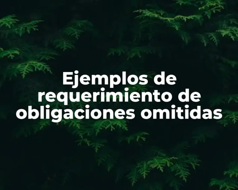 Ejemplos de requerimiento de obligaciones omitidas