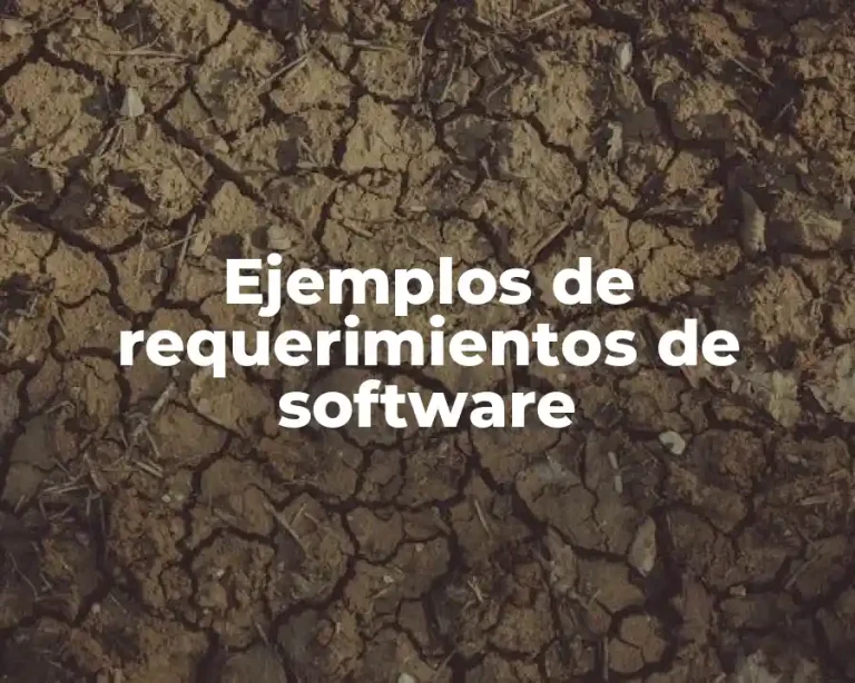 Ejemplos de requerimientos de software