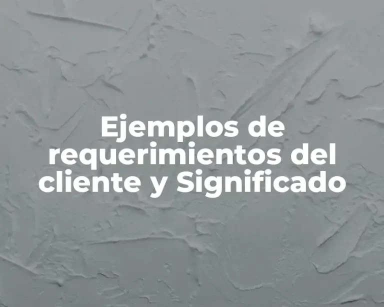 Ejemplos de requerimientos del cliente y Significado
