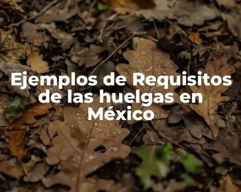 Ejemplos de Requisitos de las huelgas en México
