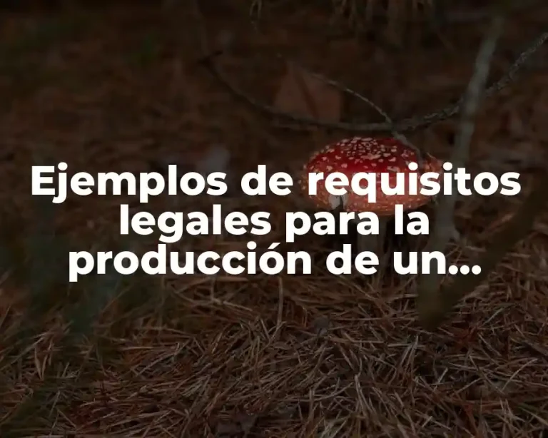 Ejemplos de requisitos legales para la producción de un producto