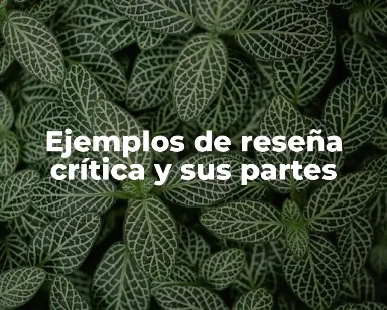 Ejemplos de reseña crítica y sus partes