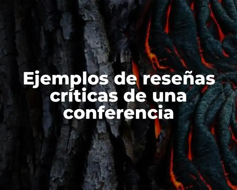Ejemplos de reseñas críticas de una conferencia