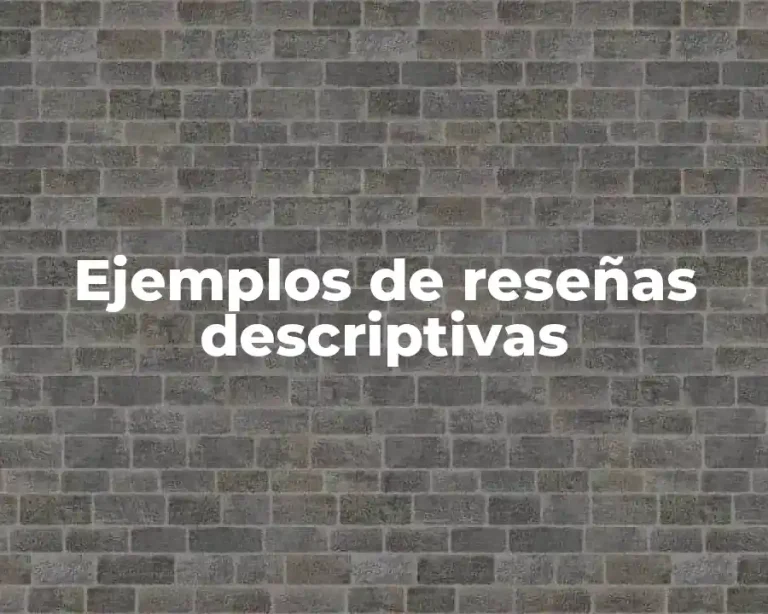 Ejemplos de reseñas descriptivas