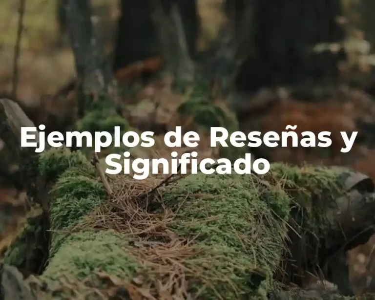 Ejemplos de Reseñas y Significado