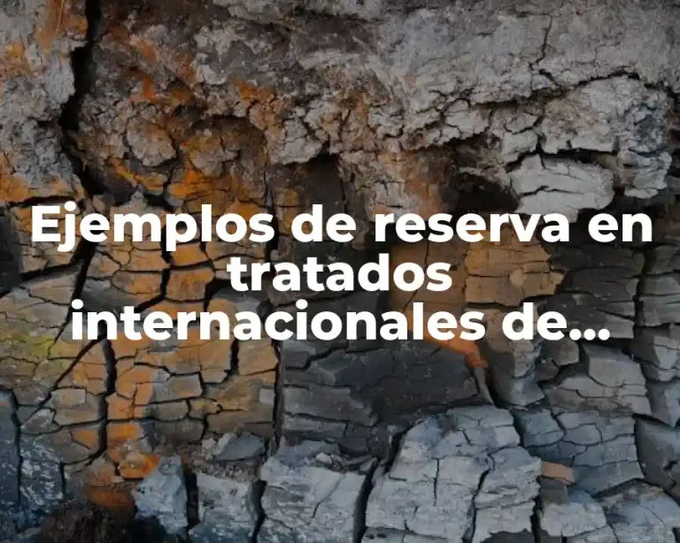 Ejemplos de reserva en tratados internacionales de comercio en vigor
