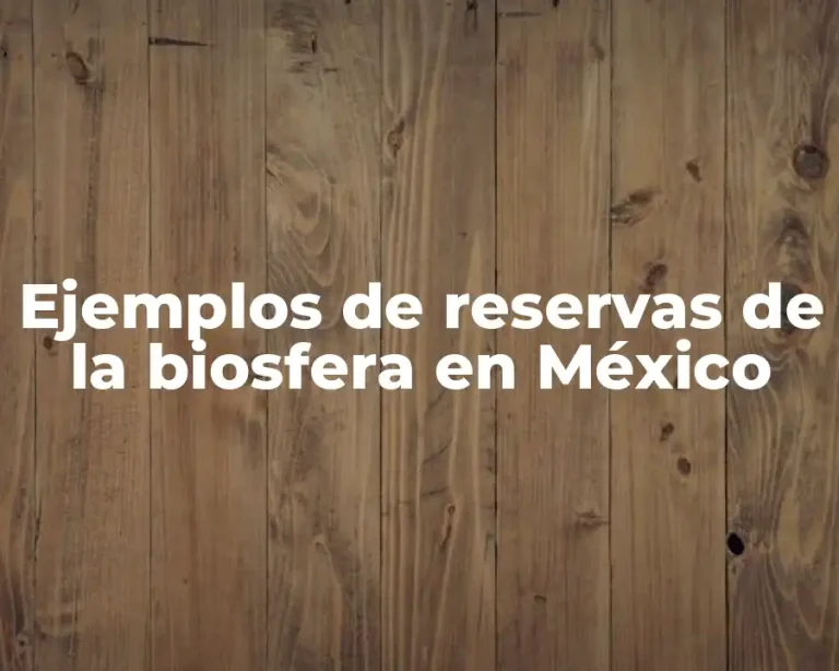 Ejemplos de reservas de la biosfera en México