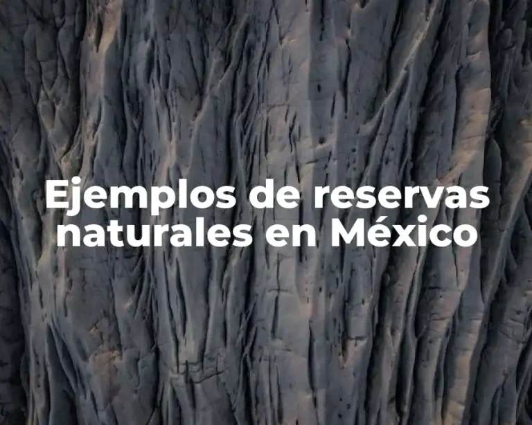 Ejemplos de reservas naturales en México