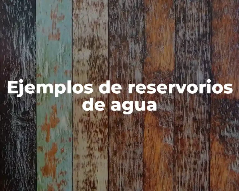 Ejemplos de reservorios de agua