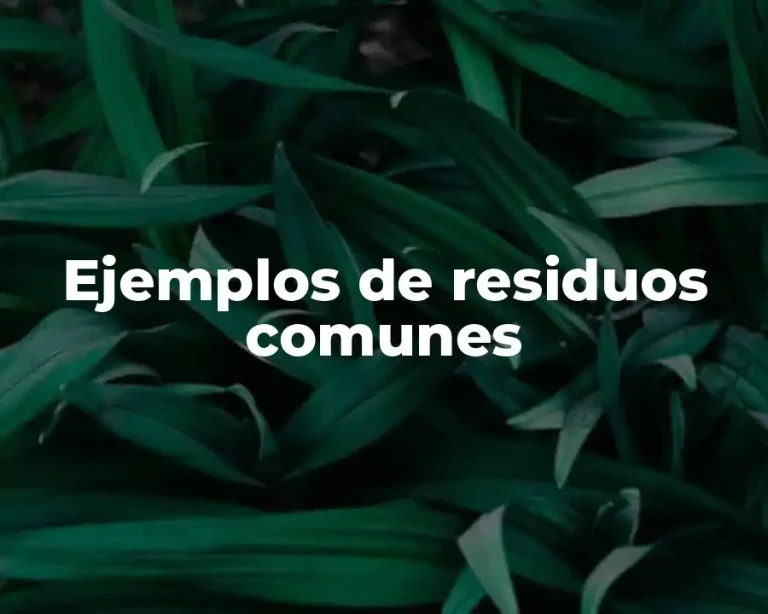 Ejemplos de residuos comunes