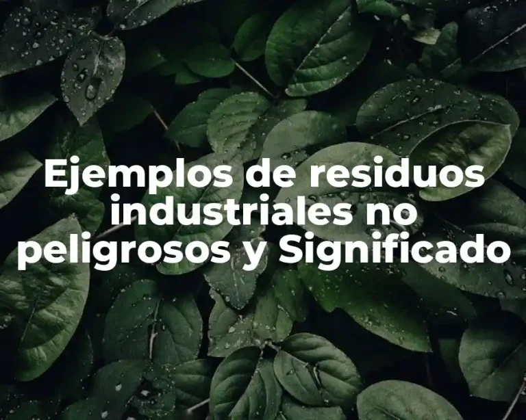 Ejemplos de residuos industriales no peligrosos y Significado