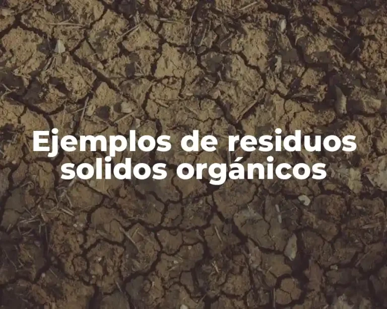 Ejemplos de residuos solidos orgánicos