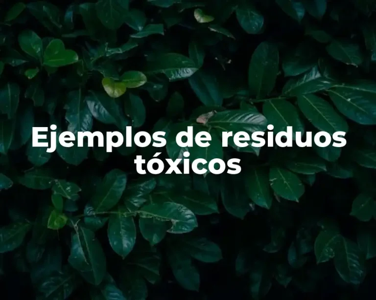 Ejemplos de residuos tóxicos
