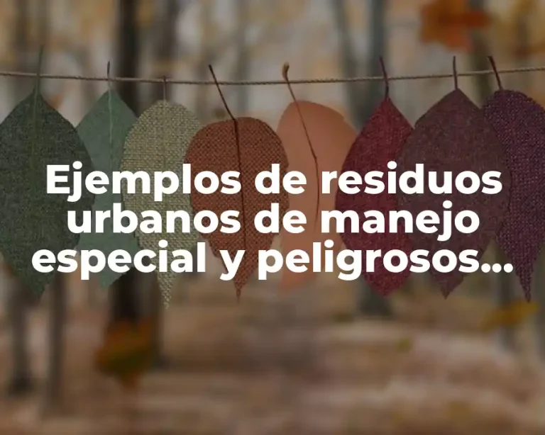 Ejemplos de residuos urbanos de manejo especial y peligrosos ejercicios