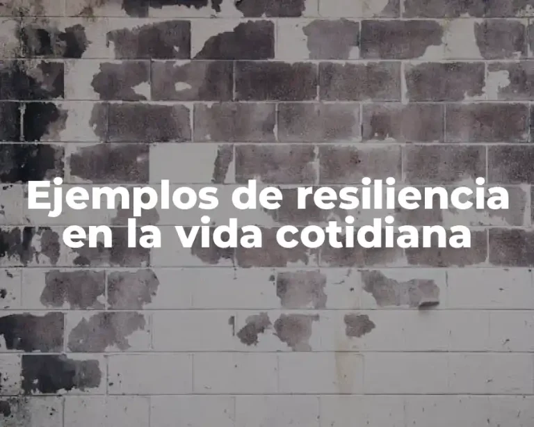 Ejemplos de resiliencia en la vida cotidiana