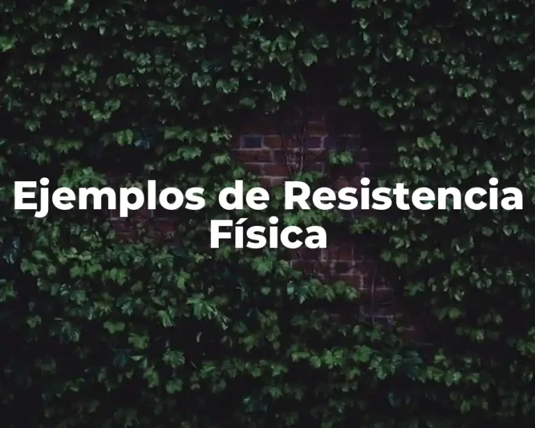 Ejemplos de Resistencia Física