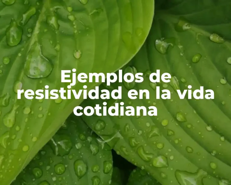 Ejemplos de resistividad en la vida cotidiana