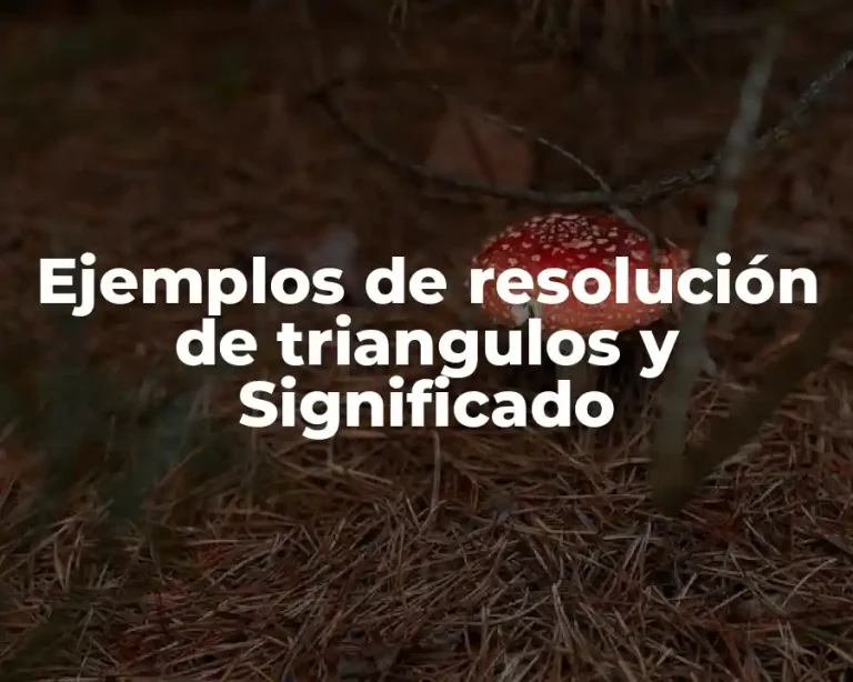 Ejemplos de resolución de triangulos y Significado