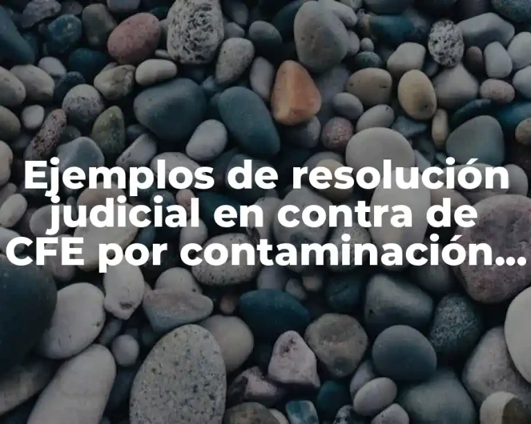 Ejemplos de resolución judicial en contra de CFE por contaminación y Significado