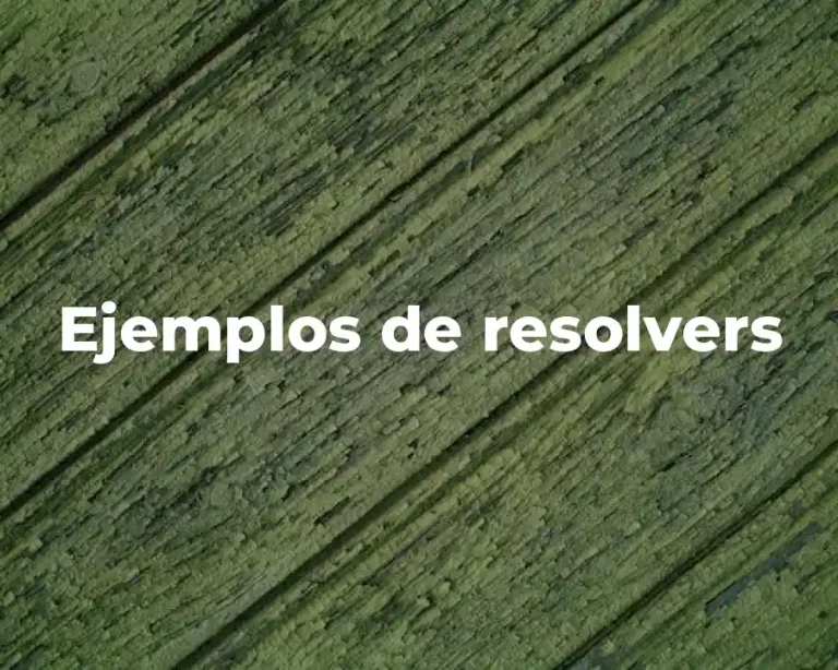 Ejemplos de resolvers