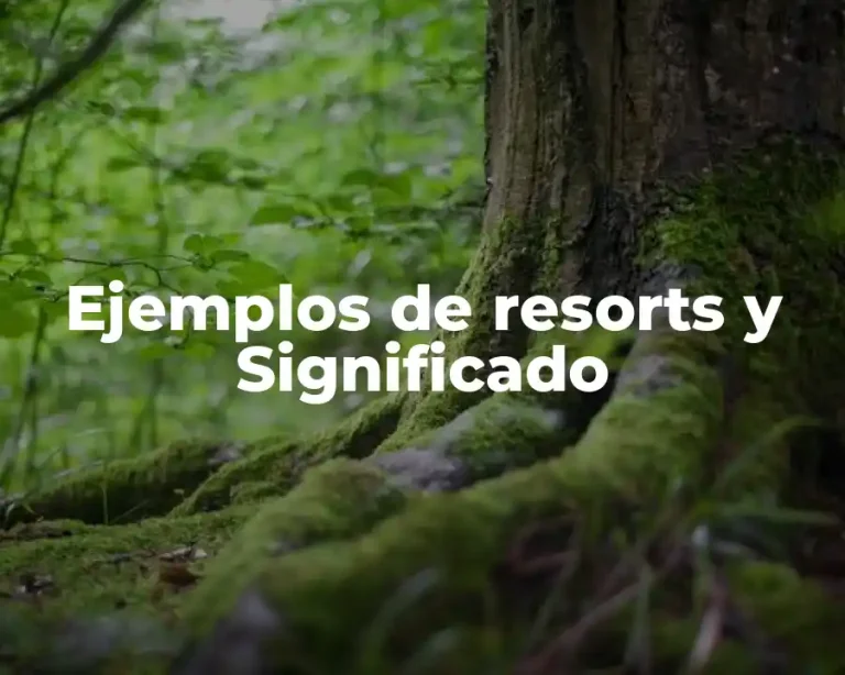 Ejemplos de resorts y Significado