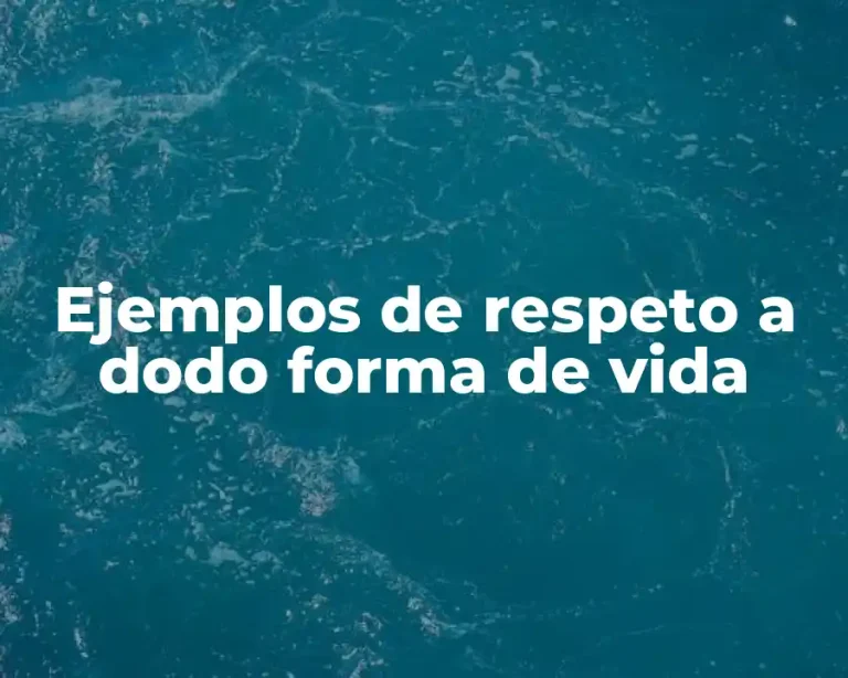 Ejemplos de respeto a dodo forma de vida
