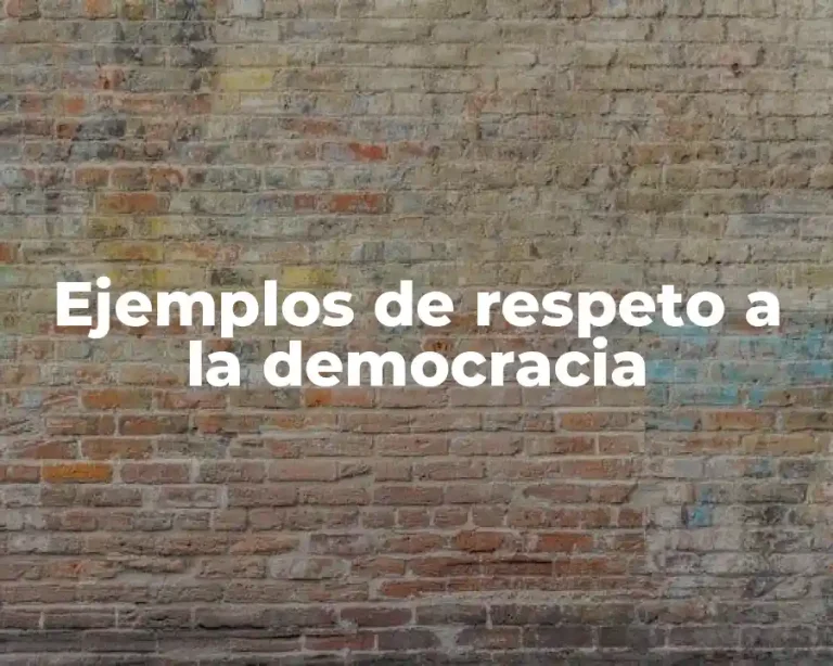 Ejemplos de respeto a la democracia