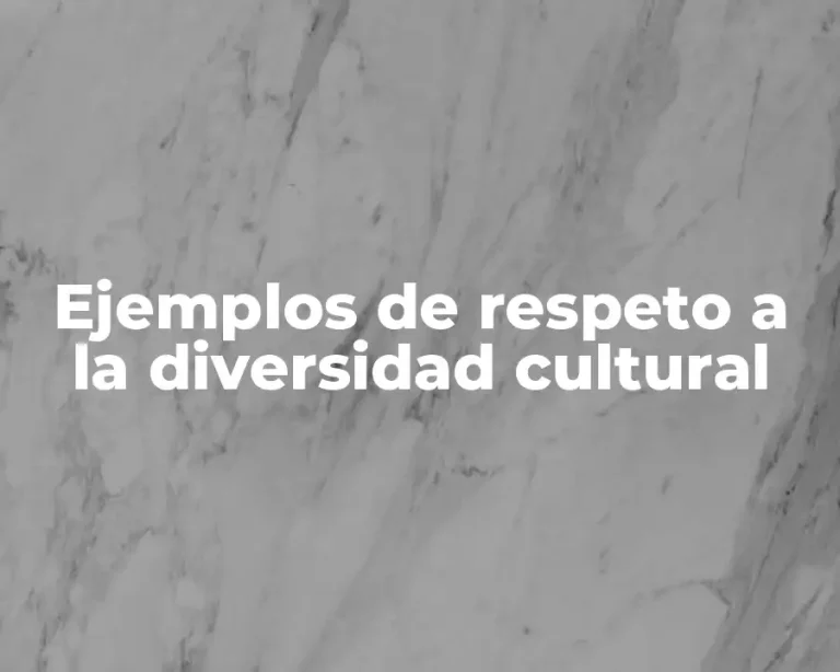 Ejemplos de respeto a la diversidad cultural