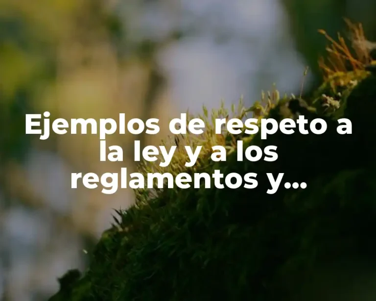 Ejemplos de respeto a la ley y a los reglamentos y Significado