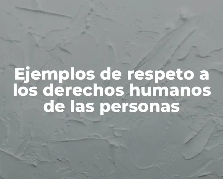 Ejemplos de respeto a los derechos humanos de las personas