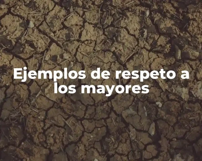 Ejemplos de respeto a los mayores