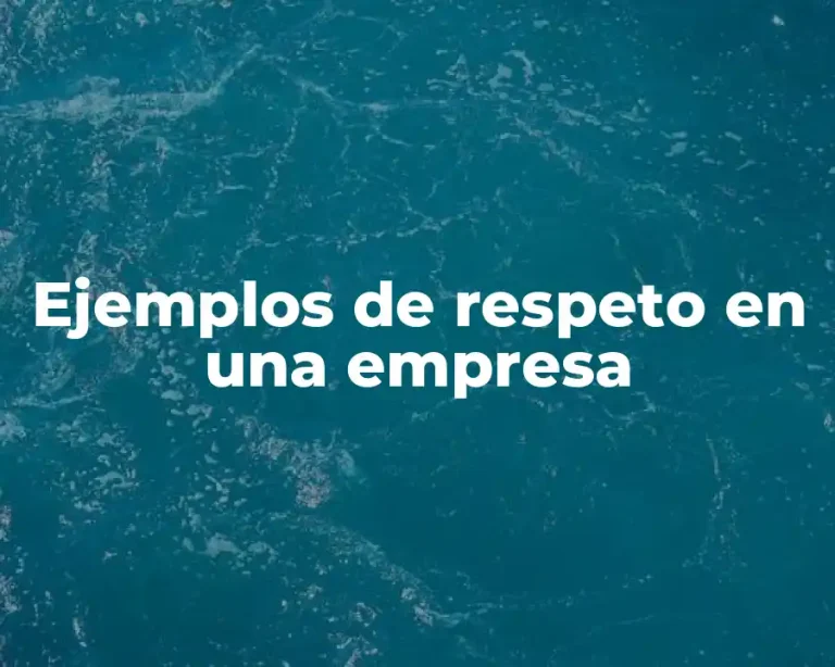 Ejemplos de respeto en una empresa