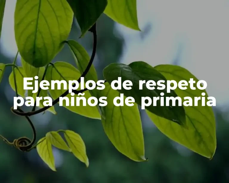 Ejemplos de respeto para niños de primaria