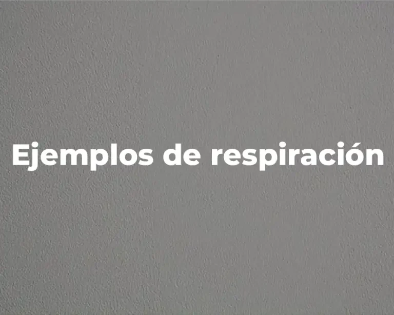 Ejemplos de respiración
