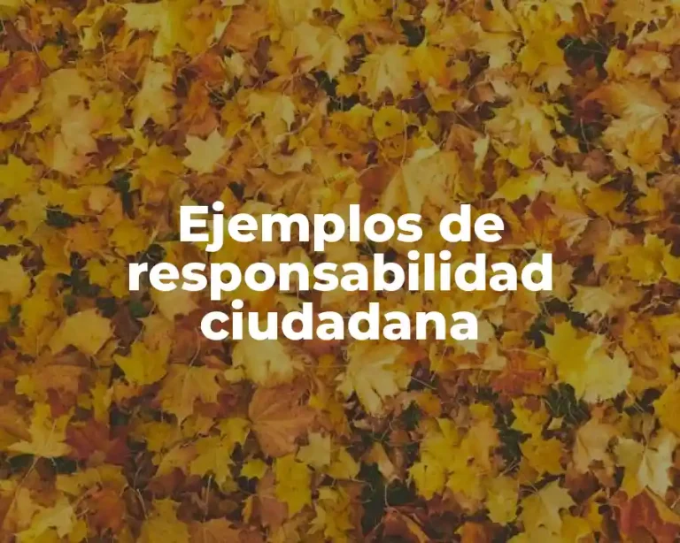 Ejemplos de responsabilidad ciudadana