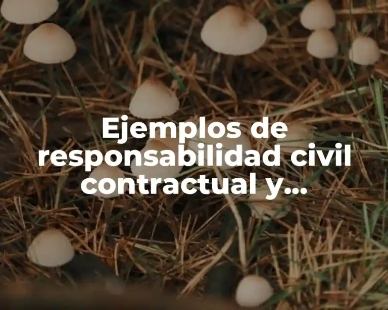 Ejemplos de responsabilidad civil contractual y extracontractual