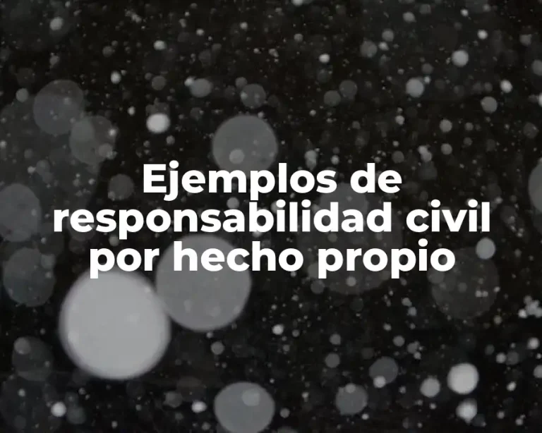 Ejemplos de responsabilidad civil por hecho propio
