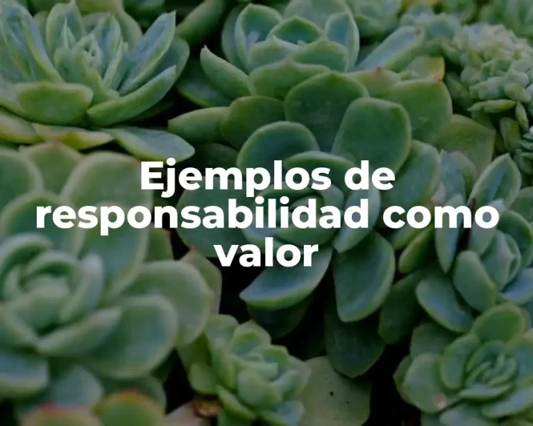 Ejemplos de responsabilidad como valor