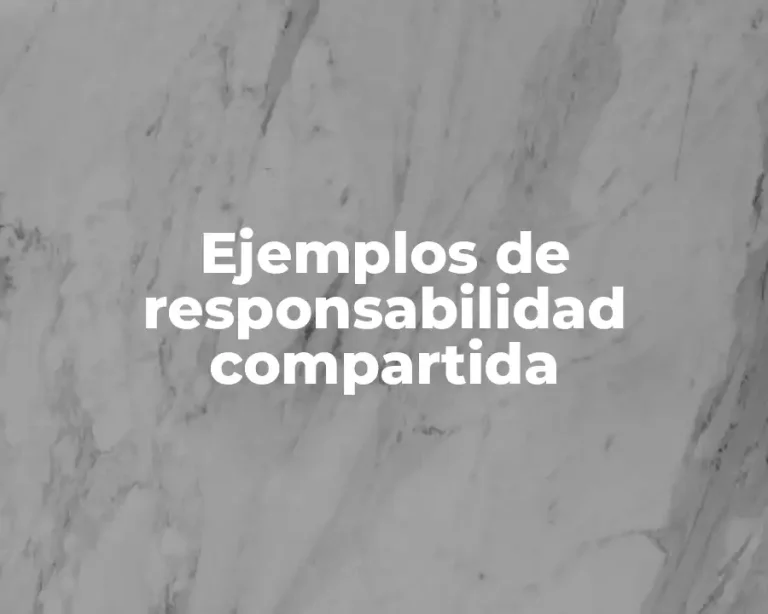 Ejemplos de responsabilidad compartida