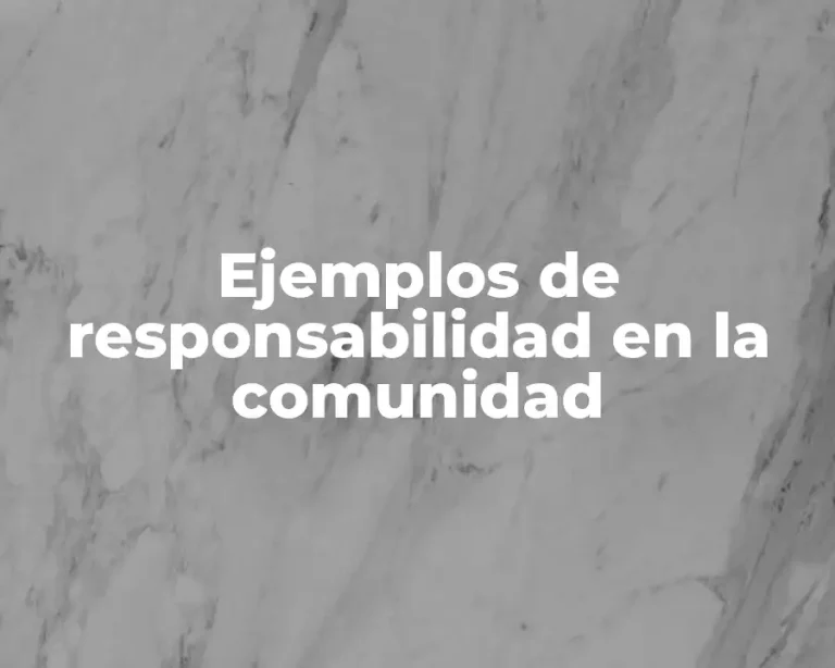 Ejemplos de responsabilidad en la comunidad