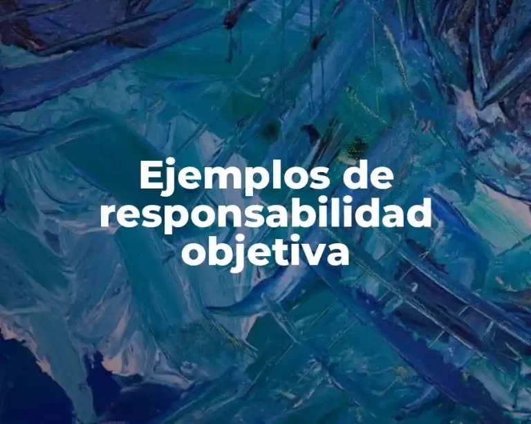 Ejemplos de responsabilidad objetiva